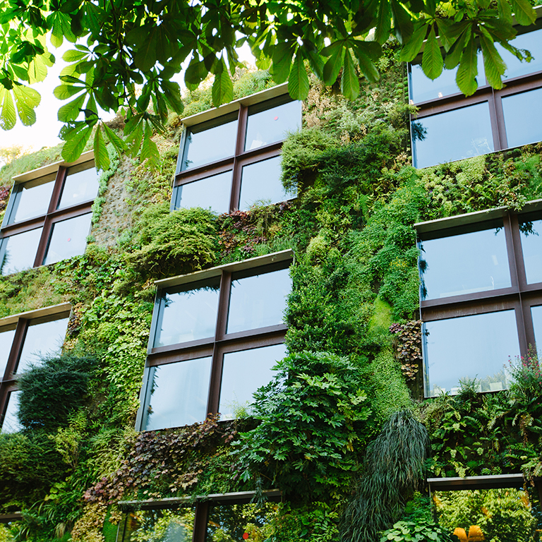 Green architecture concept. Building exterior covered with plants in modern city