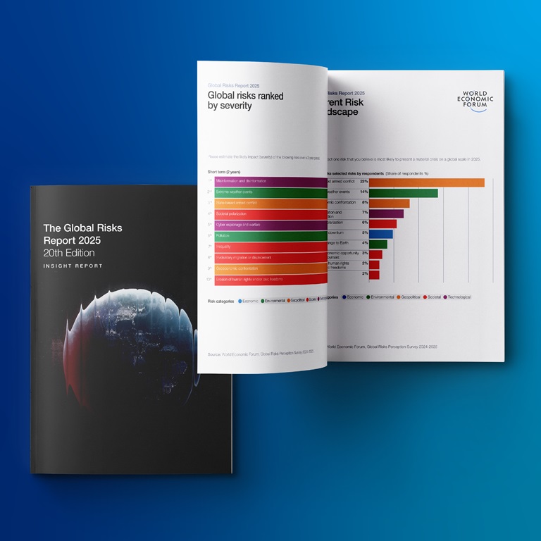 The Global Risks Report 2025