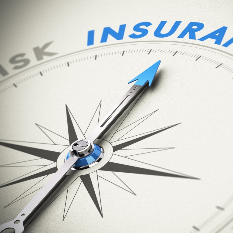 Word Insurance on blue compass