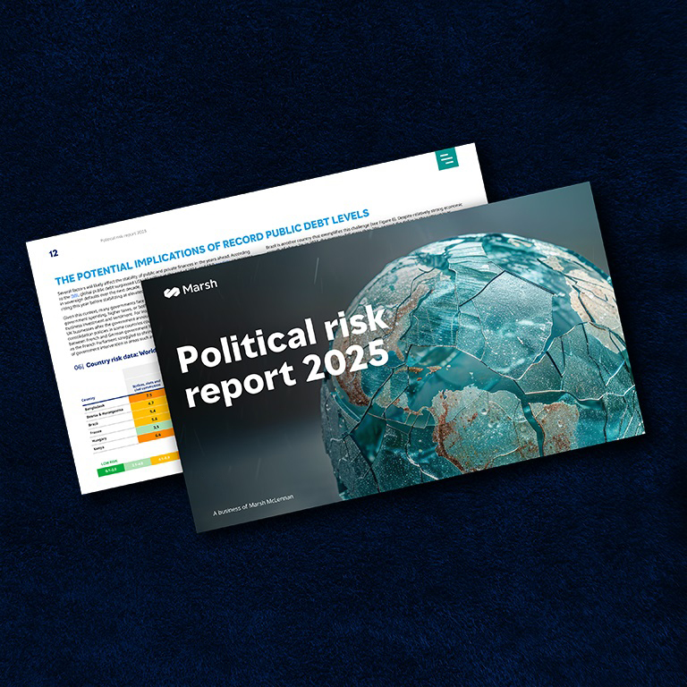 Political Risk Report 2025