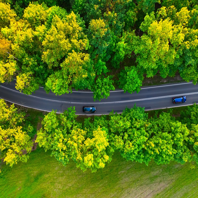 Top view of the forest trees and the road through the forest. Aerial photo of the forest, drone.